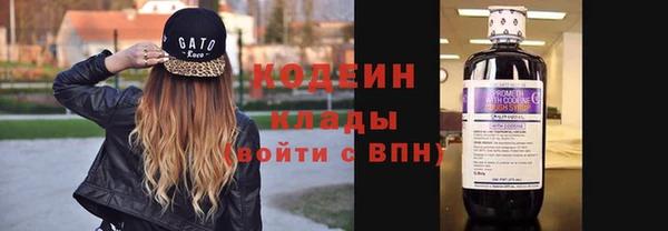 apvp Кукмор