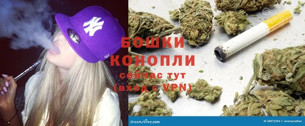 apvp Кукмор