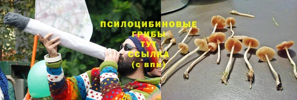 прущие крисы Кулебаки