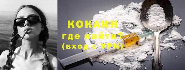 винт Лагань