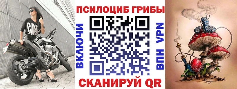 Галлюциногенные грибы Psilocybine cubensis  Купить закладки  Арамиль 