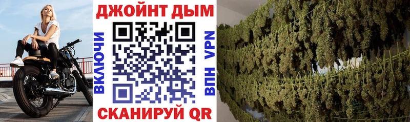 Купить  Арамиль  Бошки Шишки ГИДРОПОН 